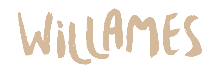 Willames Machado Alencar