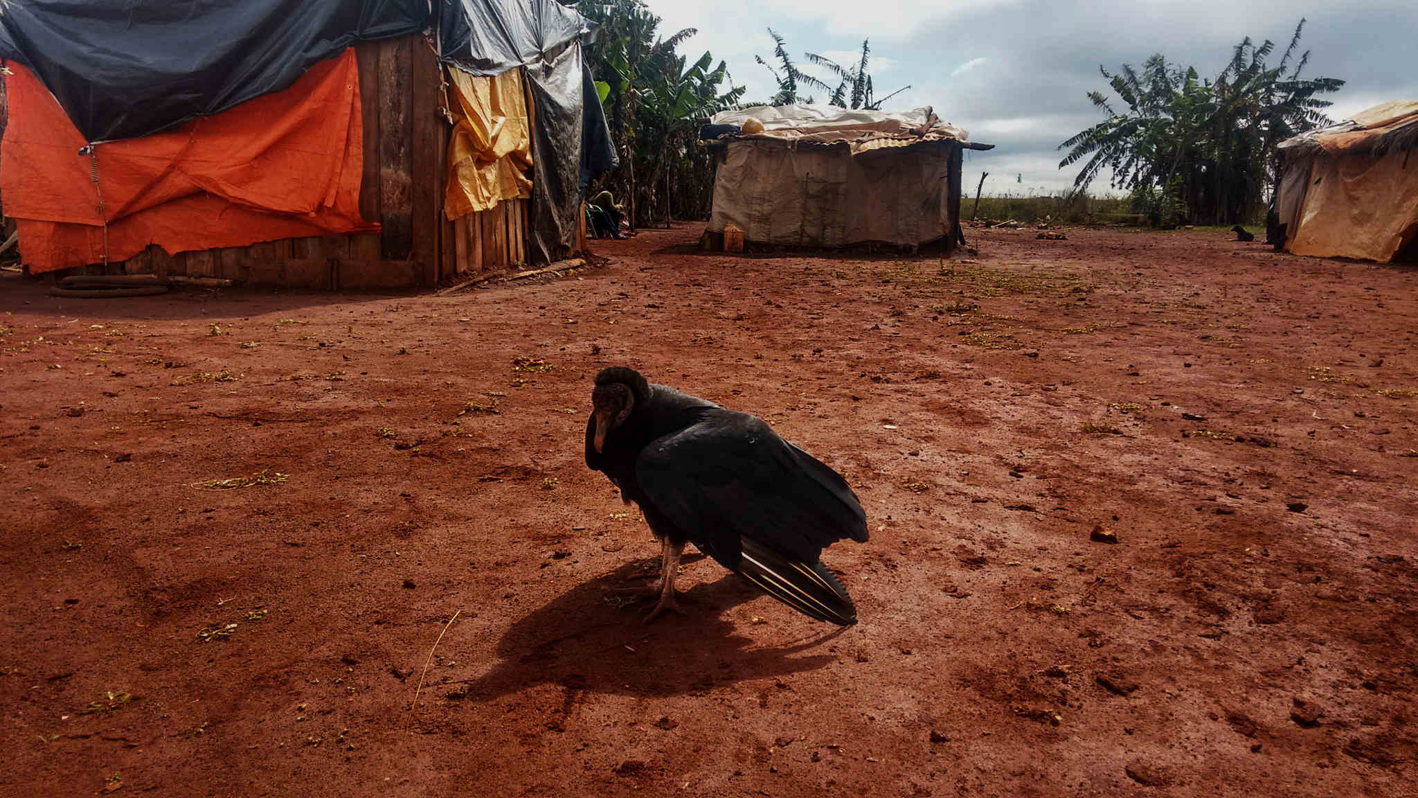 Uma década de impunidade