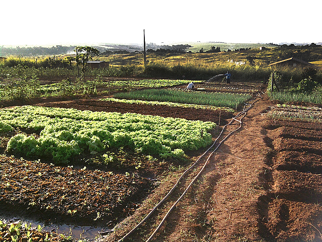 Donos da EPTV controlam usina que tenta despejar assentamento