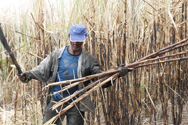 Justiça proíbe pagamento por produção em usina de São Paulo