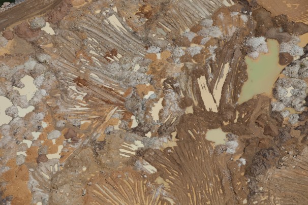 20120212_amazon_1084