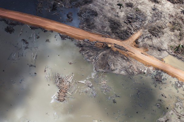 20120212_amazon_1305