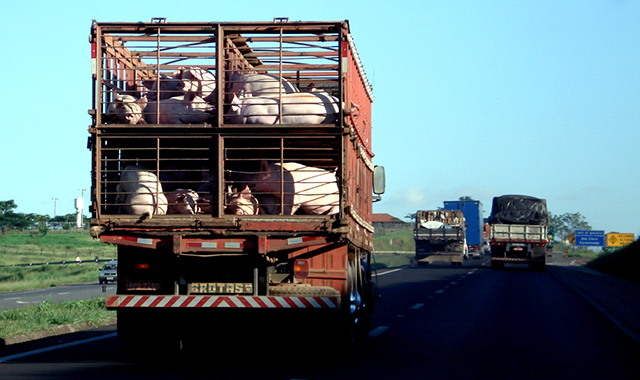Sob pressão do agronegócio, governo pode rever descanso de motoristas