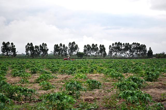 Luta, reforma e produção no Espírito Santo