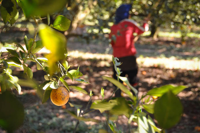 (Fotos: Ascom / PRT-15)