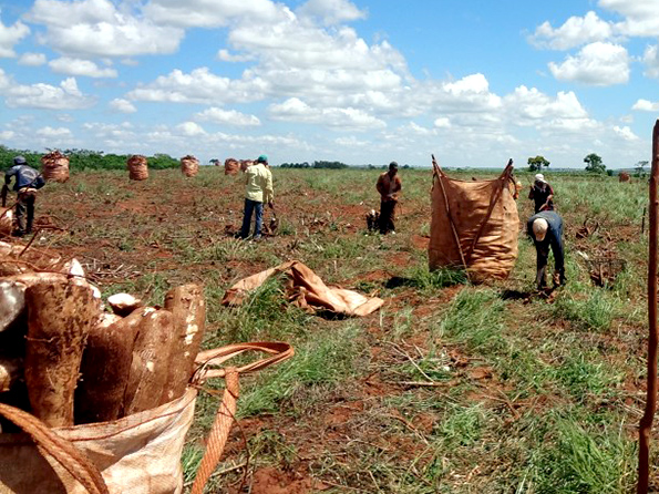 Comissão Nacional orienta Polícia Federal nos casos de trabalhadores imigrantes escravizados