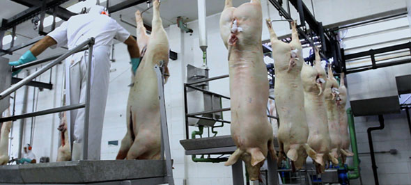 Cena do documentário Carne, Osso, que denuncia violações em frigorícios. Imagem: Reprodução