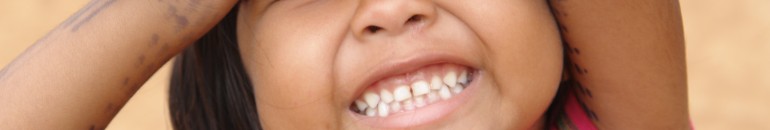 De luzes e trevas: a Constituição Federal e os processos de regularização fundiária entre populações indígenas