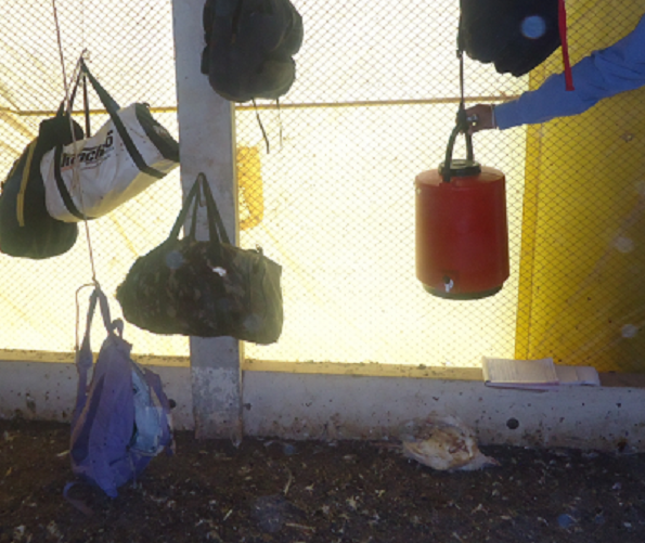 Pertences dos trabalhadores eram deixados no aviário, próximo a animais mortos e com alto risco de contaminação. Foto: MTE