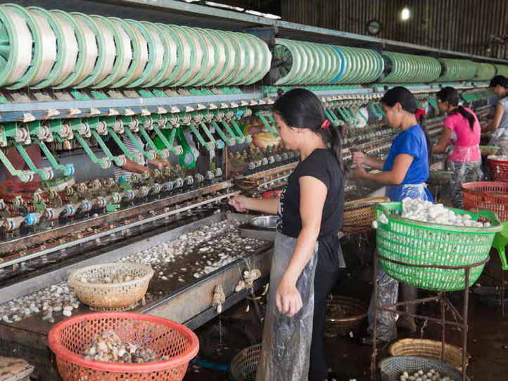 Estudo critica modelo de auditoria social privado
