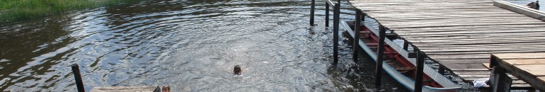 Veneno utilizado no dendê preocupa comunidades no Pará