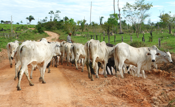 (Foto: Verena Glass)