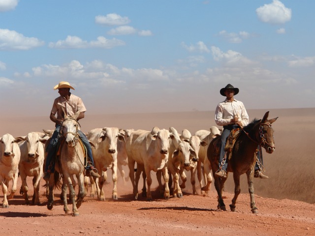 Quem são os pecuaristas da ‘lista suja’ da escravidão?