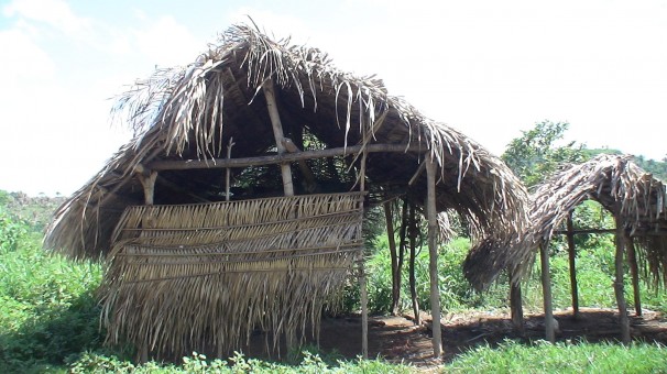 Alojamento de trabalhadores flagrados em condições análogas às de escravos em fazenda da Líder Agropecuária, que tem como sócio o deputado estadual Camilo Figueiredo (PSD-MA) (Foto: SRTE/MA)