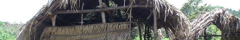 Governadora do Maranhão veta lei contra escravidão