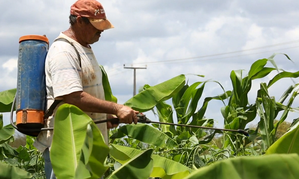 Monocultivo e veneno ameaçam Chapada do Apodi (RN)