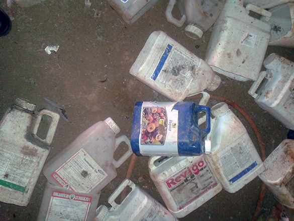 Embalagens de agrotóxicos descartadas em local próximo ao alojamento