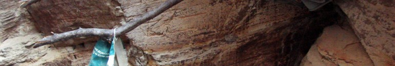 Mineradoras expõem trabalhadores a riscos, diz MPT