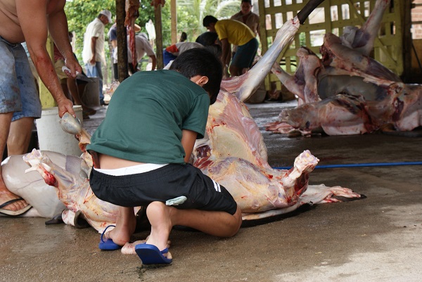 Violência crua, um flagrante de trabalho infantil em matadouro