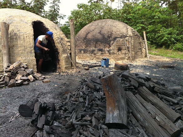 Não existe a Bancada da Escravidão. Mas a política é usada para manter vivo o trabalho escravo