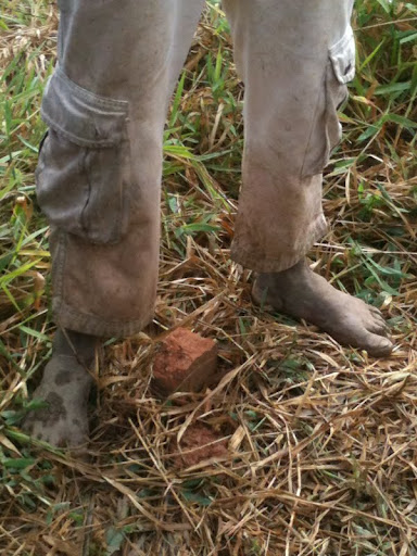 Trabalhador resgatado em engenho em Pernambuco. Divulgação/MPT