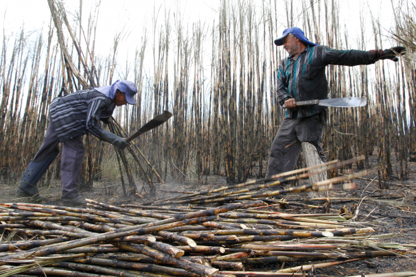 Foto2_Verena_Glass_MG_0309