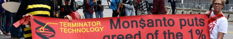 Na Câmara, proposta tenta liberar sementes transgênicas ‘suicidas’