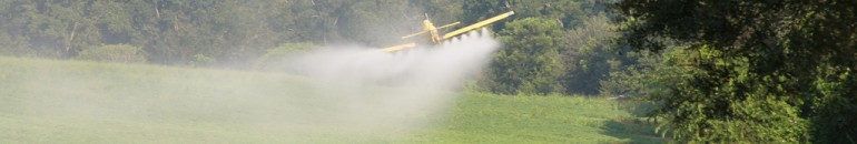 Transgênicos e agrotóxicos: uma combinação letal