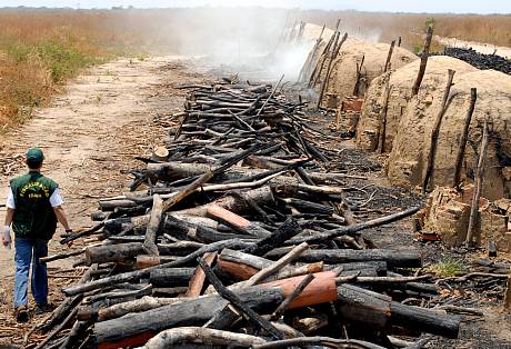 Infrações ambientais são comuns na produção de carvão no Brasil. Na foto, registro de operação do Ibama realizada em Riachão das Neves, na Bahia. Foto: Jefferson Rudy/MMA