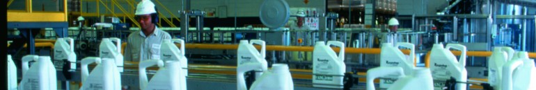 Pouca transparência marca estudos sobre riscos dos transgênicos