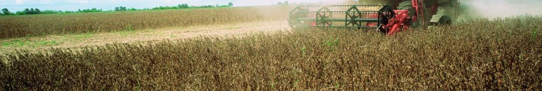 Grupo de seis empresas controla mercado global de transgênicos