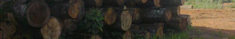 25 anos sem Chico Mendes e a realidade dos trabalhadores de Xapuri