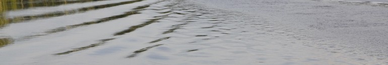 Projetos de carbono no Acre ameaçam direito à terra