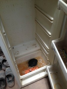 Geladeira de alojamento, com compartimento cheio de água e larvas