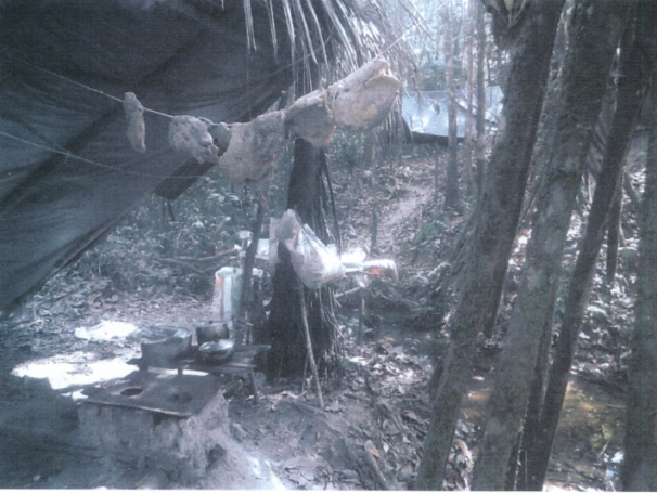 Carne encontrada pela fiscalização em acampamento de trabalhadores da fazenda de João Bertin Filho era armazenada em varais e estava podre, segundo a fiscalização. Foto: Divulgação/MTE