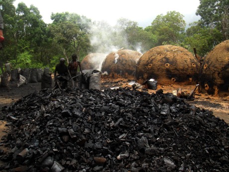Carvoarias representam um quinto das inclusões na ‘lista suja’ do trabalho escravo