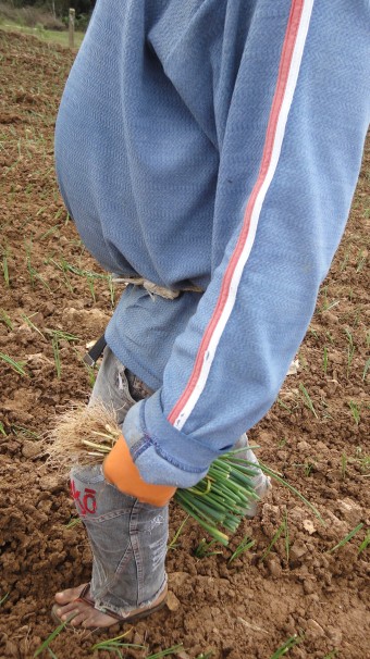Entre os empregados encontrados na região, diversos não possuíam roupas de proteção adequadas