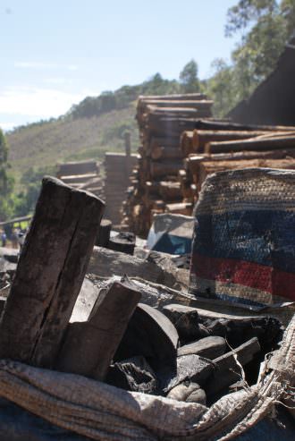 Carvão e madeiras de carvoaria em Piracaia (SP) flagrada com trabalho escravo (Foto: Stefano Wrobleski)