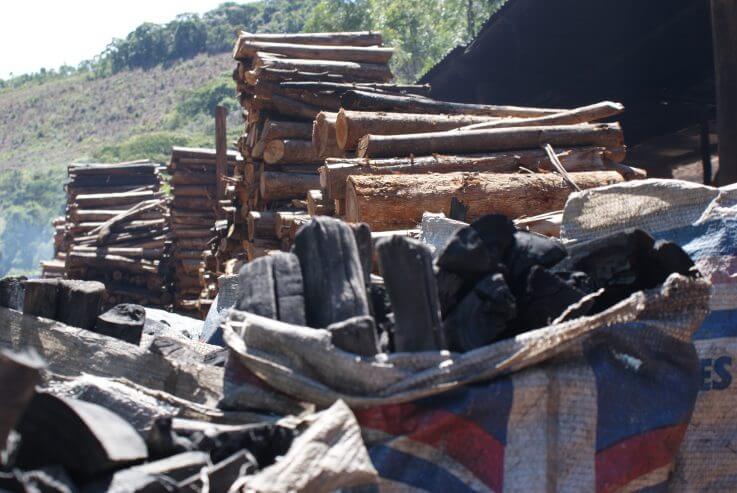 Carvão e madeiras de carvoaria em Piracaia (SP) flagrada com trabalho escravo (Foto: Stefano Wrobleski)