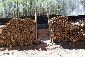 Madeira de carvoaria em Piracaia (SP) flagrada com trabalho escravo (Foto: Stefano Wrobleski)