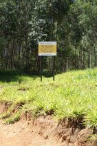 Carvoaria em que trabalhadores foram resgatados em Piracaia (SP) fica ao lado de gasoduto da Petrobrás (Foto: Stefano Wrobleski)