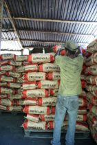Jovem flagrado trabalhando em carvoaria em Piracaia (SP). Atividade é proibida a crianças e adolescentes (Foto: Stefano Wrobleski)