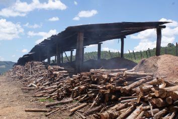 Fornos de carvão onde foi empregado trabalho em condições análogas às de escravos em Piracaia (SP) (Foto: Stefano Wrobleski)