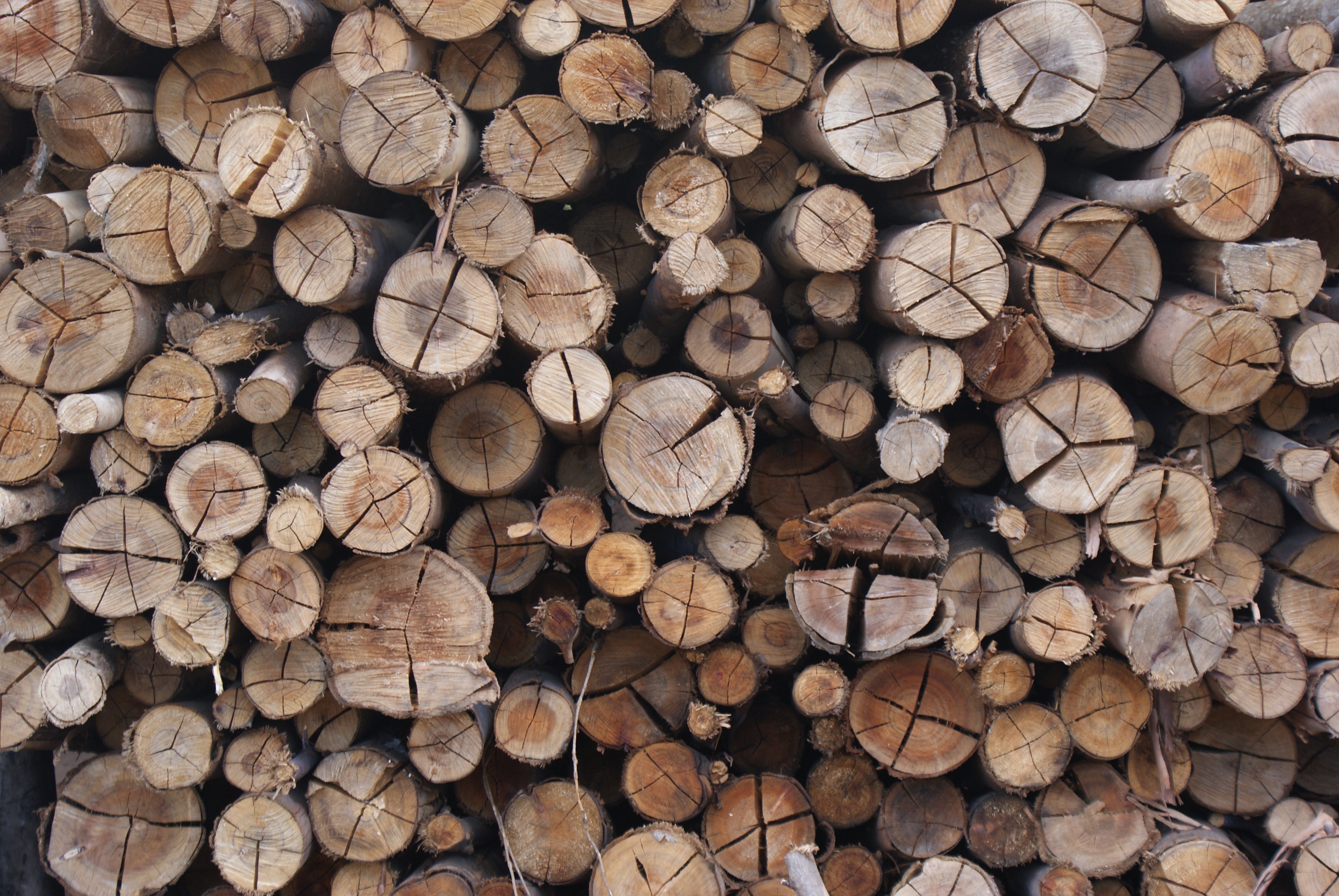 Repórter Brasil divulga propostas que receberão duas bolsas de R$ 5 mil para reportagens sobre quem financia o desmatamento