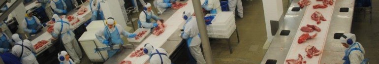 MPT aponta que 90% trabalhavam com dor em setor de frigorífico