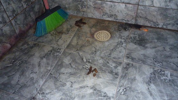 Fezes de gato em banheiro da oficina. Cheiro de esgoto era onipresente em toda a casa