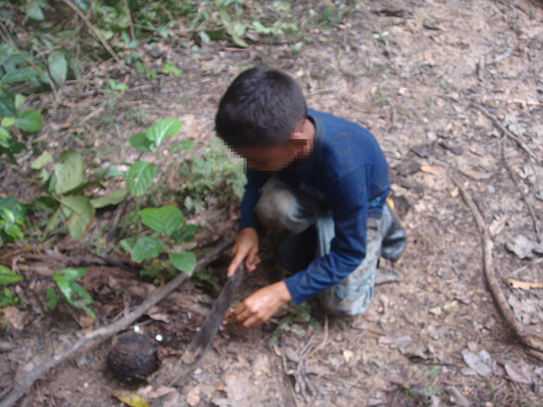 Ex-prefeito de Lábrea é responsabilizado por trabalho escravo infantil