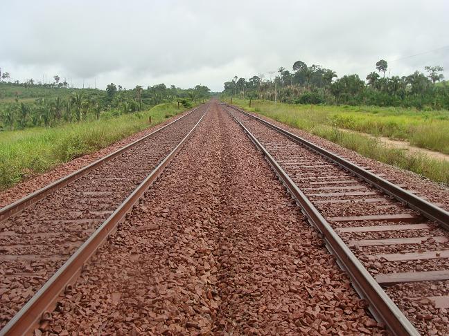Os caminhos da Amazônia Oriental em debate