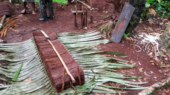 Fiscalização flagra escravidão na extração de piaçava no Amazonas