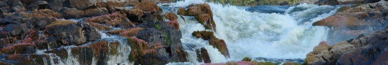 Os Direitos da Natureza e a superação do desenvolvimentismo predatório